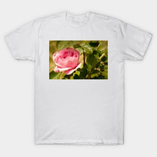 gli long stem rose T-Shirt